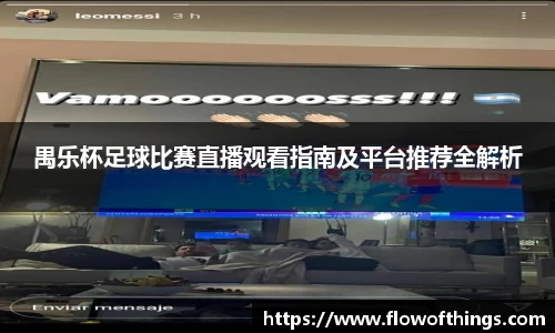 禺乐杯足球比赛直播观看指南及平台推荐全解析