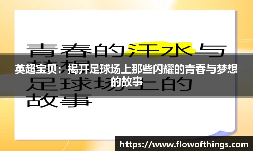 英超宝贝：揭开足球场上那些闪耀的青春与梦想的故事