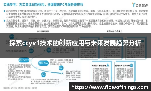 探索ccyv1技术的创新应用与未来发展趋势分析