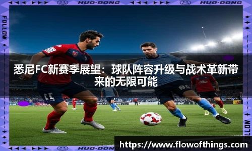 悉尼FC新赛季展望：球队阵容升级与战术革新带来的无限可能