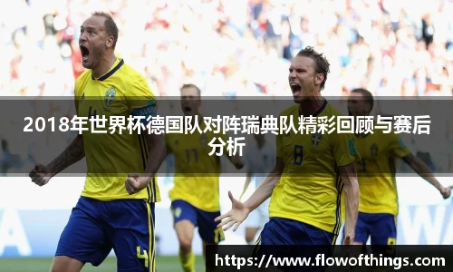 2018年世界杯德国队对阵瑞典队精彩回顾与赛后分析