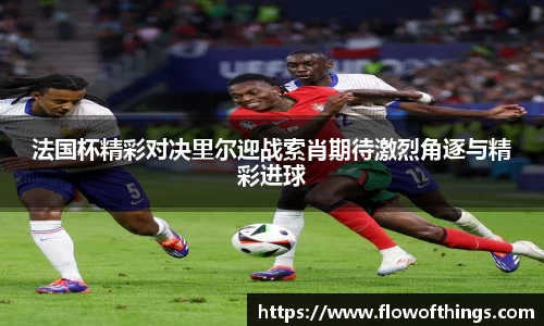 法国杯精彩对决里尔迎战索肖期待激烈角逐与精彩进球